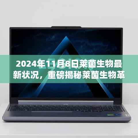第2672页
