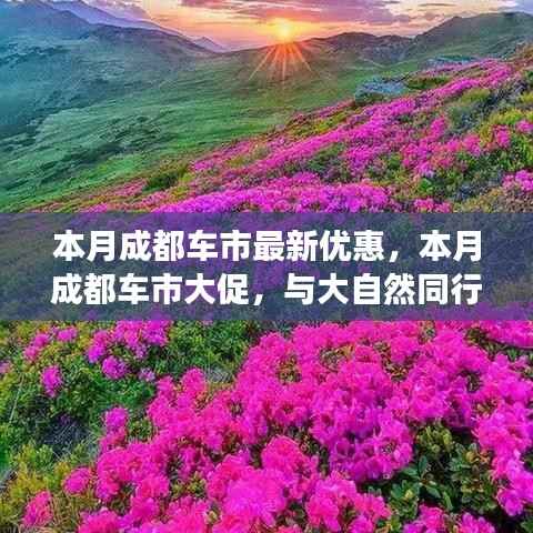 成都车市本月惊喜优惠,与自然同行探寻内心宁静,超值优惠等你来体验!
