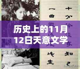 历史上的11月12日,天意文学网改版回顾与影响
