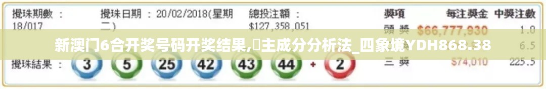 新澳门6合开奖号码开奖结果,主成分分析法_四象境YDH868.38