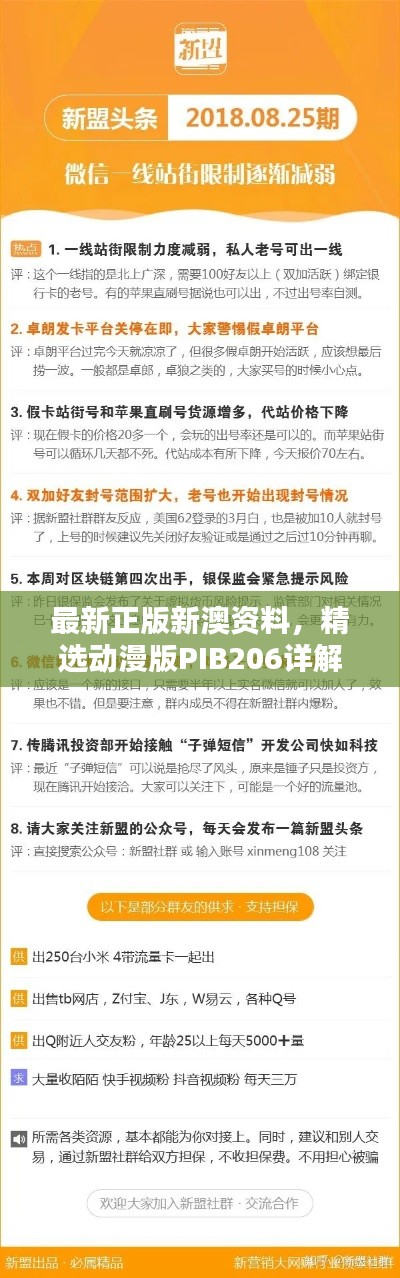 最新正版新澳资料,精选动漫版PIB206详解