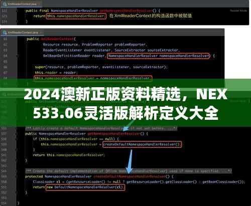 2024澳新正版资料精选,NEX533.06灵活版解析定义大全