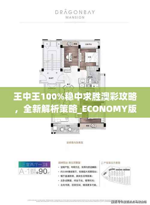 王中王100%稳中求胜澳彩攻略,全新解析策略_ECONOMY版ANL510.67