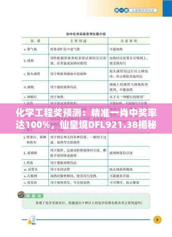 化学工程奖预测:精准一肖中奖率达100%,仙皇境DFL921.38揭秘