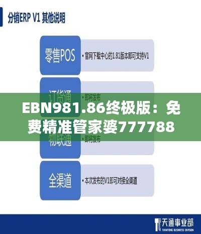 EBN981.86终极版：免费精准管家婆7777888888安全策略深度解析