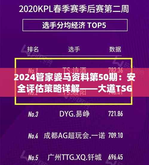 2024管家婆马资料第50期:安全评估策略详解——大道TSG370.3版