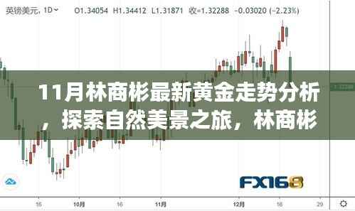 林商彬黄金走势分析与自然美景探索，黄金与心灵的对话