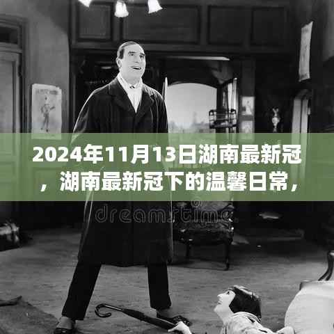 湖南最新冠下的温馨日常,友情、勇气与爱的故事(2024年11月13日)