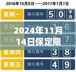 保定限号查询新纪元,科技引领绿色出行,APP升级助力绿色出行