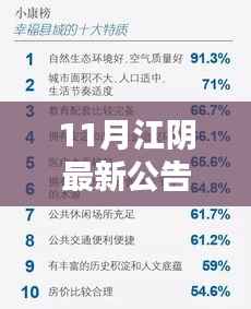江阴十一月最新公告发布,初学者与进阶用户指南详解