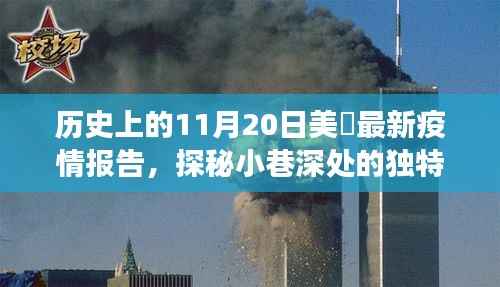 美国疫情报告日,揭秘小巷美食与疫情背后的故事(11月20日最新)
