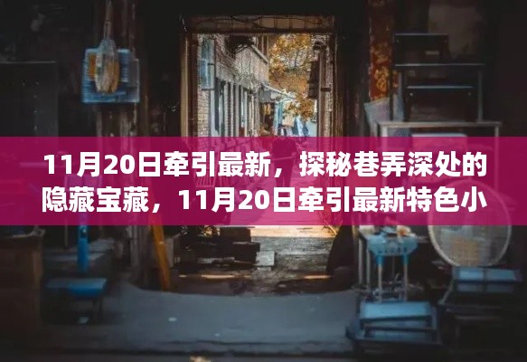 探秘巷弄深处的隐藏宝藏,11月20日特色小店之旅揭秘