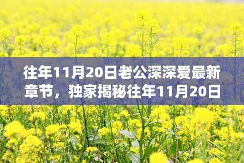 往年11月20日老公深情与高科技融合,全新智能伴侣揭秘,颠覆想象!