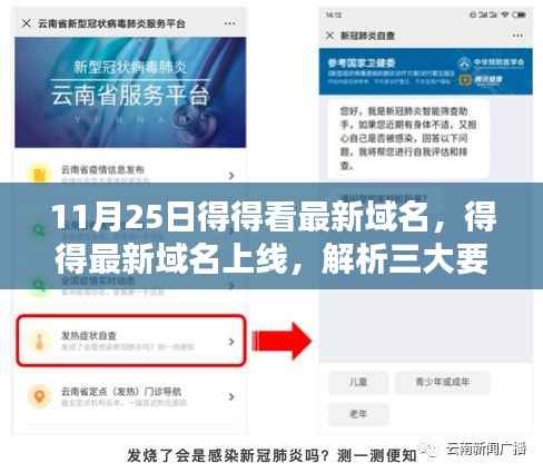 得得最新域名上线解析指南,三大要点助你轻松掌握