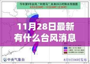 最新台风消息获取指南，如何追踪并应对即将到来的台风（适用于初学者及进阶用户）