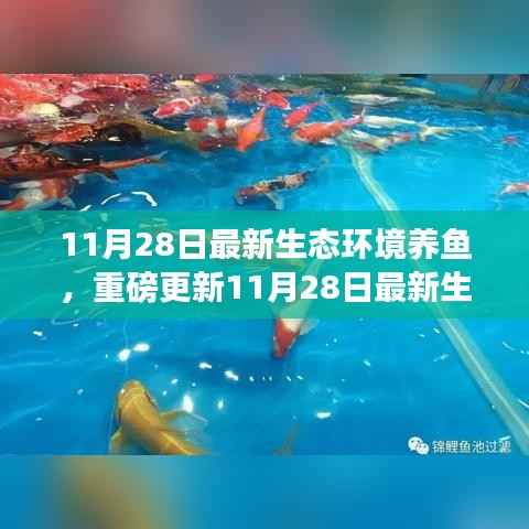 揭秘最新生态环境养鱼秘籍,打造生态鱼池新境界!