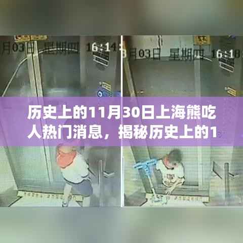 揭秘上海熊吃人事件,历史真相与传闻回顾(附日期,XX年XX月XX日)