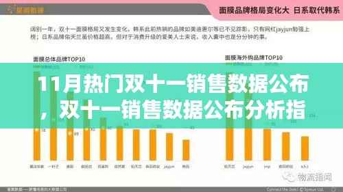 双十一销售数据解析,从入门到进阶的指南与热门销售数据公布分析