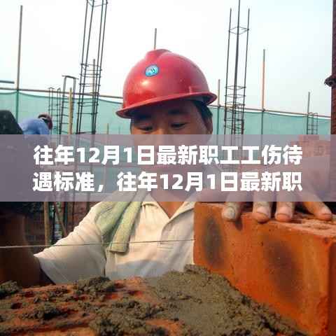 往年12月1日职工工伤待遇标准详解及解析