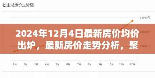 最新房价走势分析,聚焦2024年房价均价出炉