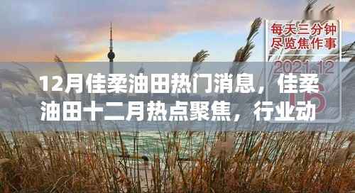 佳柔油田十二月动态,行业热点聚焦与技术进展