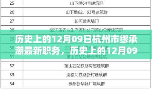 杭州市缪承潮新任职务深度解析，职责特点、用户体验与竞品对比
