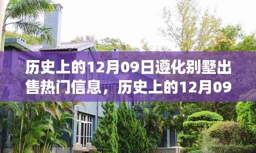 shoudangqichong 第5页
