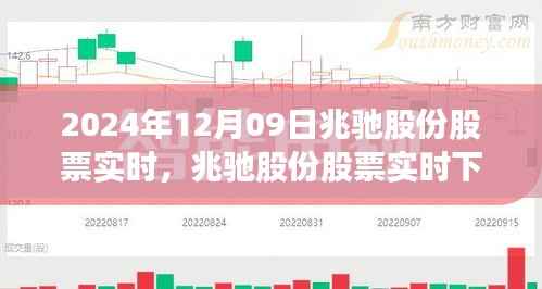 兆驰股份股票实时下的心灵探索之旅,寻找宁静与平和
