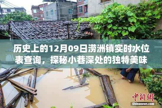 探秘涝洲镇,历史水位变迁中的小巷美食记忆——实时水位表查询与独特美味探秘