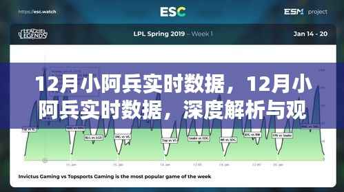 深度解析与观点阐述，12月小阿兵实时数据综述