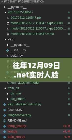 走马观花 第4页