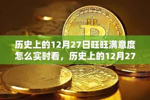 历史上的12月27日旺旺满意度实时查看指南,初学者与进阶用户必看