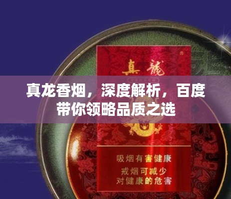 真龙香烟,深度解析,百度带你领略品质之选