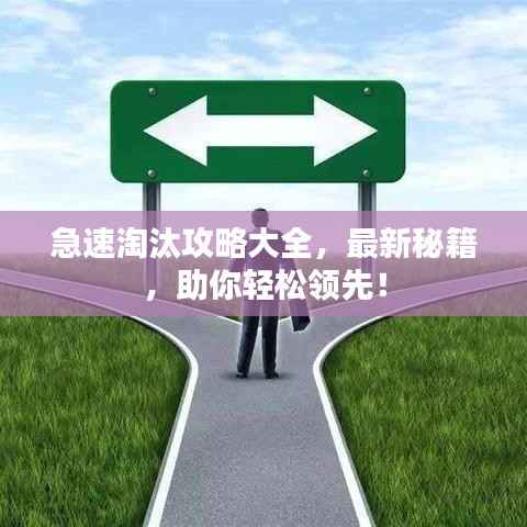 急速淘汰攻略大全，最新秘籍，助你轻松领先！