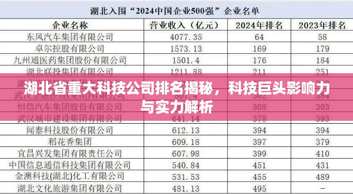 湖北省重大科技公司排名揭秘,科技巨头影响力与实力解析
