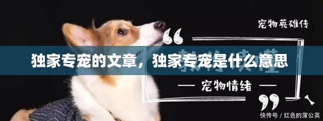 独家专宠的文章,独家专宠是什么意思