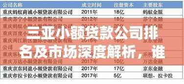 三亚小额贷款公司排名及市场深度解析,谁是行业佼佼者?