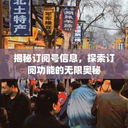 揭秘订阅号信息，探索订阅功能的无限奥秘