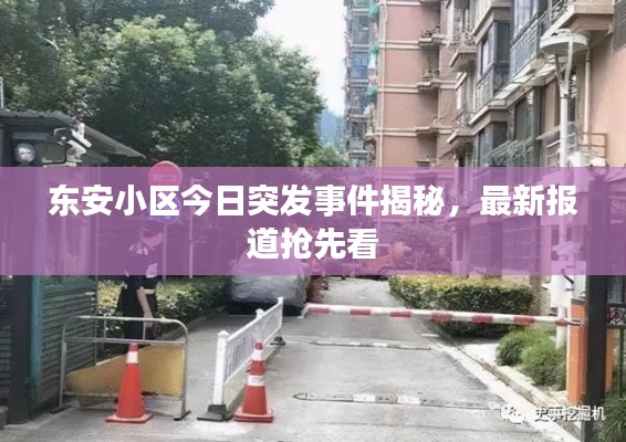 衣不兼采 第2页