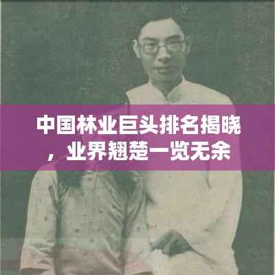中国林业巨头排名揭晓,业界翘楚一览无余