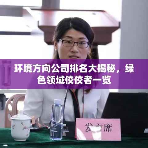 环境方向公司排名大揭秘，绿色领域佼佼者一览