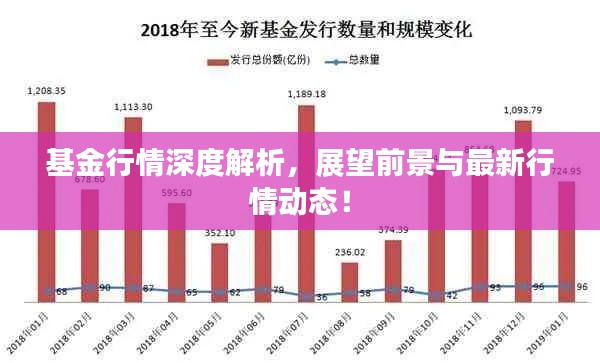 基金行情深度解析,展望前景与最新行情动态!