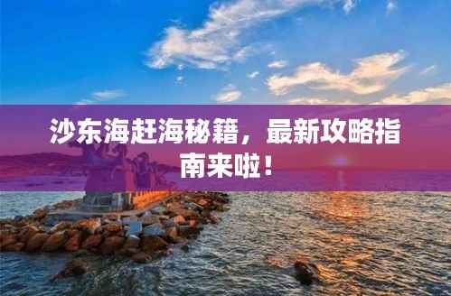 沙东海赶海秘籍,最新攻略指南来啦!