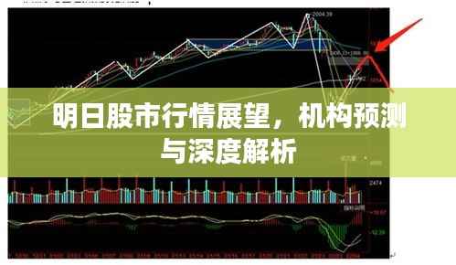 明日股市行情展望,机构预测与深度解析