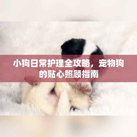 mengmengdongdong 第2页