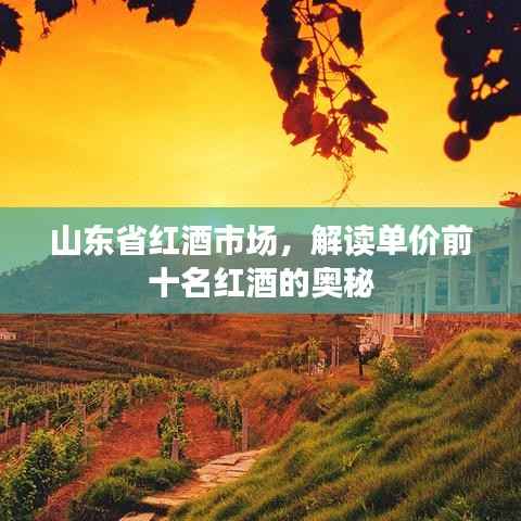 鸟飞兔走 第2页