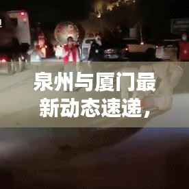 泉州与厦门最新动态速递,新闻头条一览