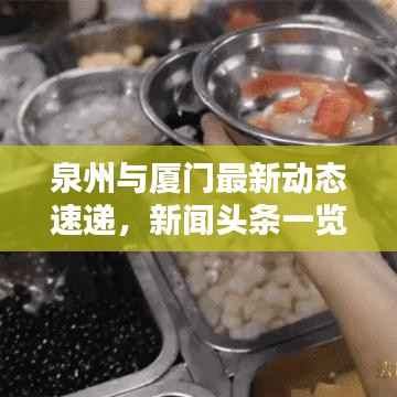 泉州与厦门最新动态速递,新闻头条一览