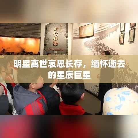 明星离世哀思长存,缅怀逝去的星辰巨星